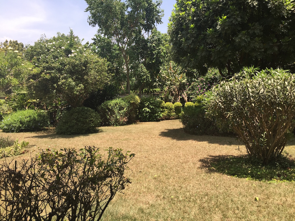 4 bedroom house on 1/2 acre of mature garden on Rosslyn Lone Tree