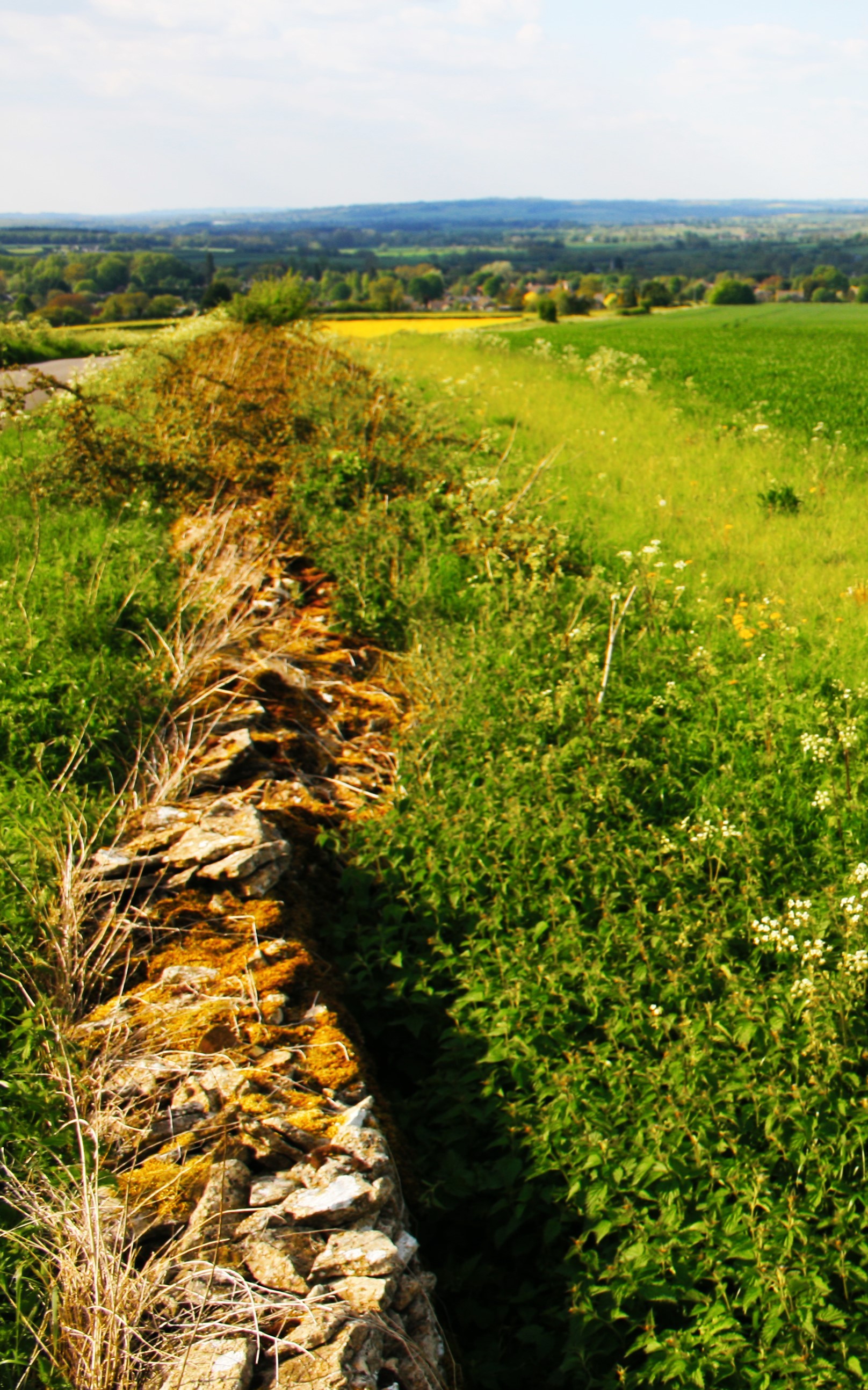 Professional Services Tayler and Fletcher